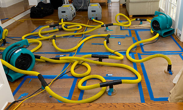 Professional Burst Pipe Water Damage technician working in Overland Park, KS